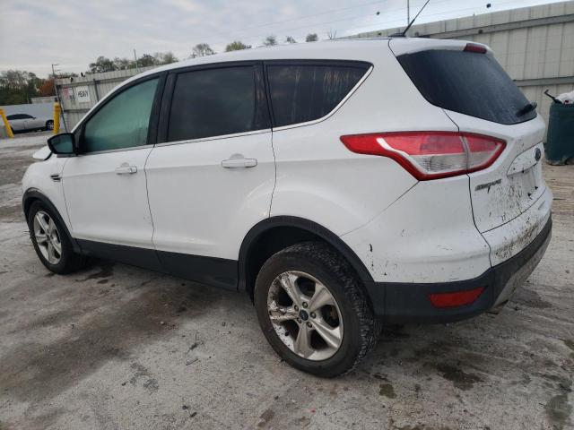 Photo 1 VIN: 1FMCU0GX0EUB58712 - FORD ESCAPE 