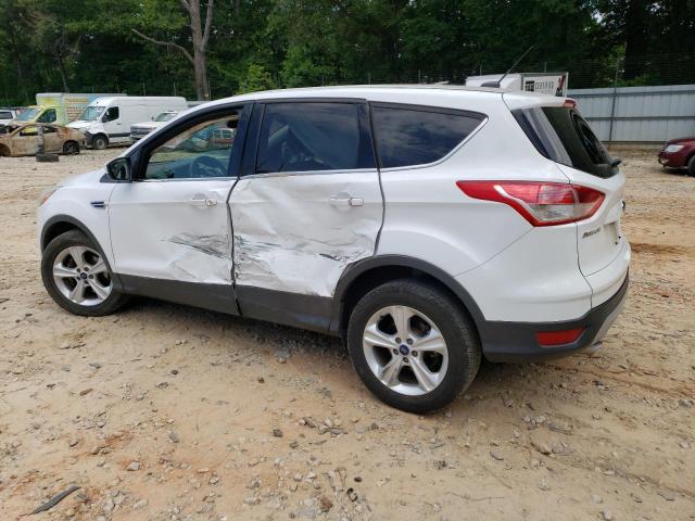 Photo 1 VIN: 1FMCU0GX0EUB61674 - FORD ESCAPE SE 