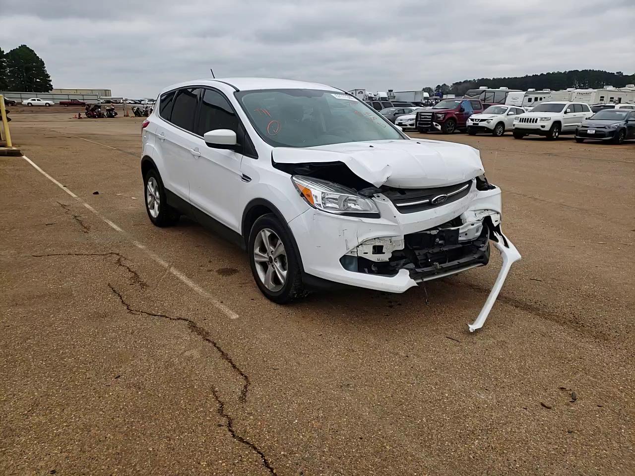 Photo 10 VIN: 1FMCU0GX0EUB97459 - FORD ESCAPE SE 