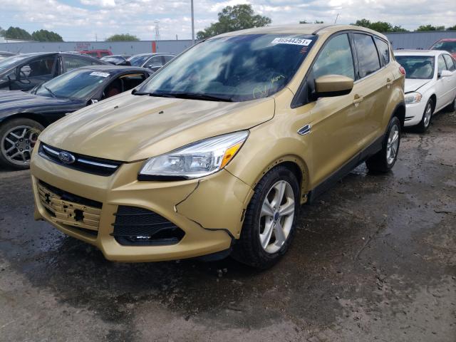 Photo 1 VIN: 1FMCU0GX0EUD05790 - FORD ESCAPE SE 