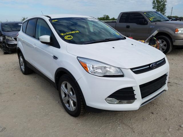 Photo 0 VIN: 1FMCU0GX0EUD09838 - FORD ESCAPE 