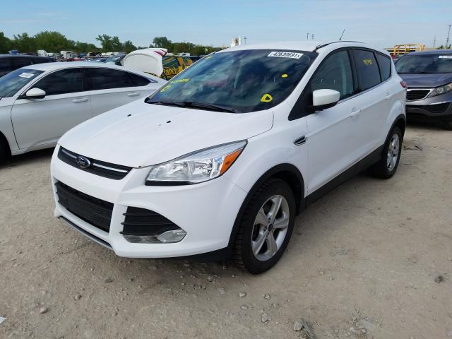 Photo 1 VIN: 1FMCU0GX0EUD09838 - FORD ESCAPE 