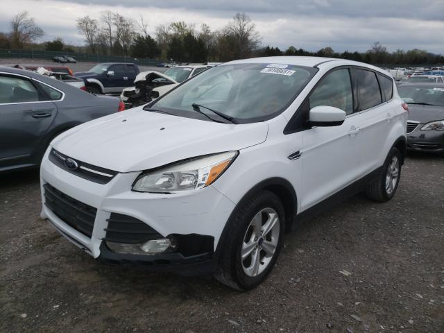 Photo 1 VIN: 1FMCU0GX0EUD67089 - FORD ESCAPE SE 