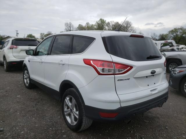 Photo 2 VIN: 1FMCU0GX0EUD67089 - FORD ESCAPE SE 