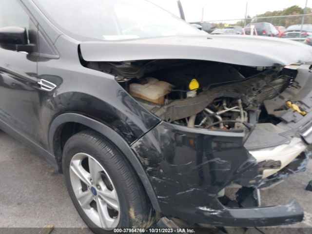 Photo 5 VIN: 1FMCU0GX0FUA17883 - FORD ESCAPE 