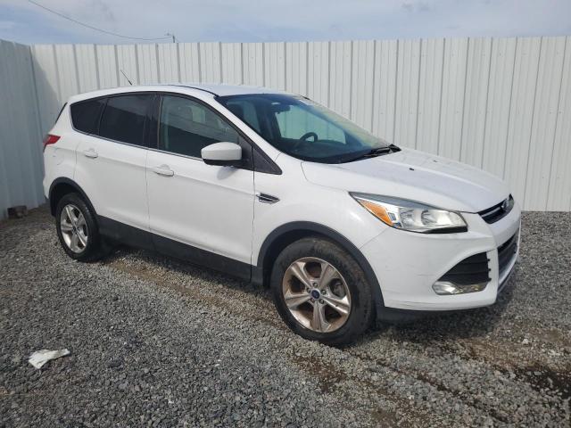 Photo 3 VIN: 1FMCU0GX0GUC20113 - FORD ESCAPE SE 