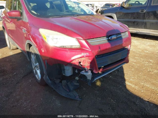 Photo 5 VIN: 1FMCU0GX1DUA33863 - FORD ESCAPE 