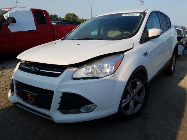 Photo 1 VIN: 1FMCU0GX1DUA74168 - FORD ESCAPE SE 