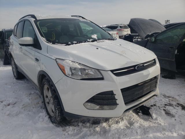 Photo 0 VIN: 1FMCU0GX1DUA99653 - FORD ESCAPE SE 