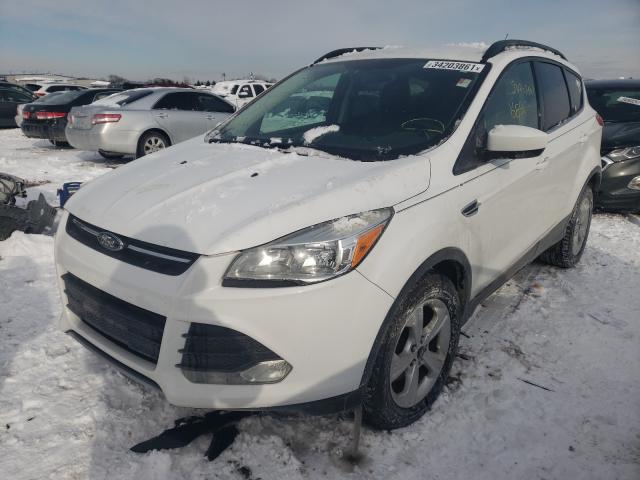 Photo 1 VIN: 1FMCU0GX1DUA99653 - FORD ESCAPE SE 