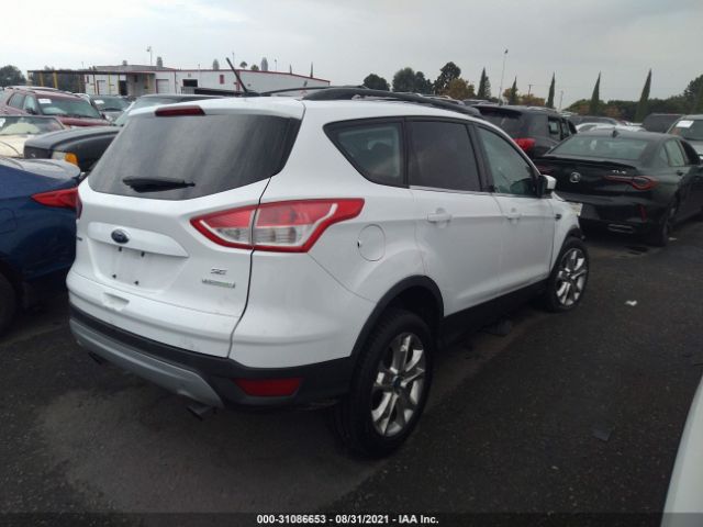 Photo 3 VIN: 1FMCU0GX1DUB83715 - FORD ESCAPE 