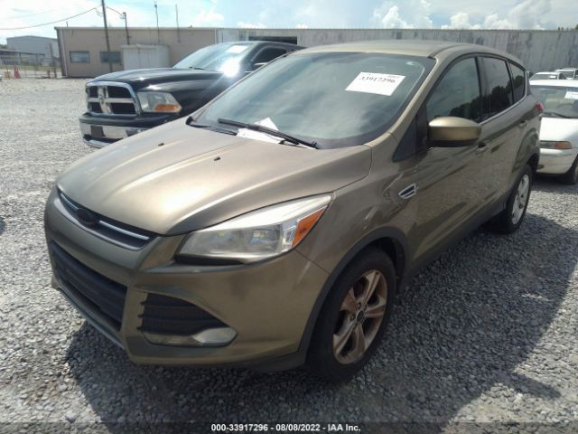 Photo 1 VIN: 1FMCU0GX1DUC56050 - FORD ESCAPE 