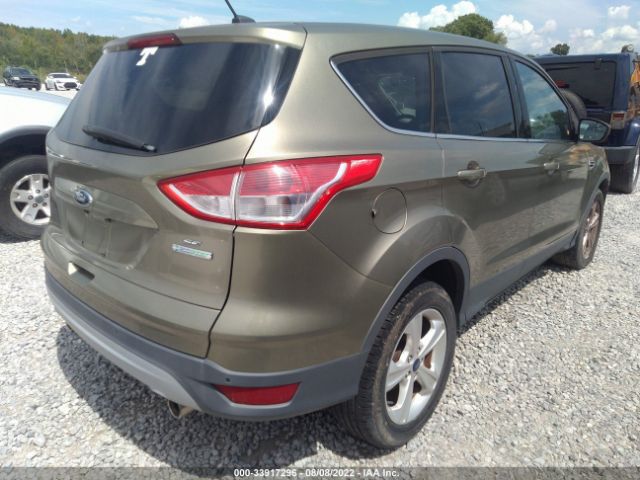 Photo 3 VIN: 1FMCU0GX1DUC56050 - FORD ESCAPE 