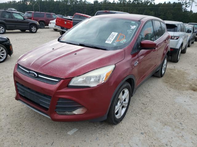 Photo 1 VIN: 1FMCU0GX1DUC99061 - FORD ESCAPE SE 