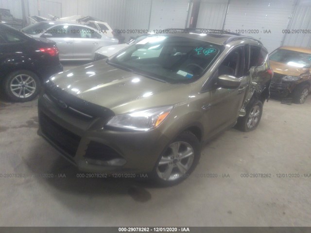 Photo 1 VIN: 1FMCU0GX1DUD76527 - FORD ESCAPE 