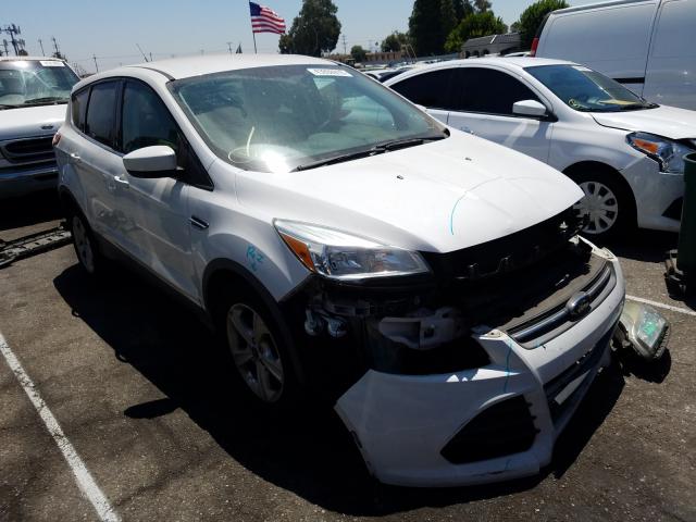 Photo 0 VIN: 1FMCU0GX1EUA30317 - FORD ESCAPE 