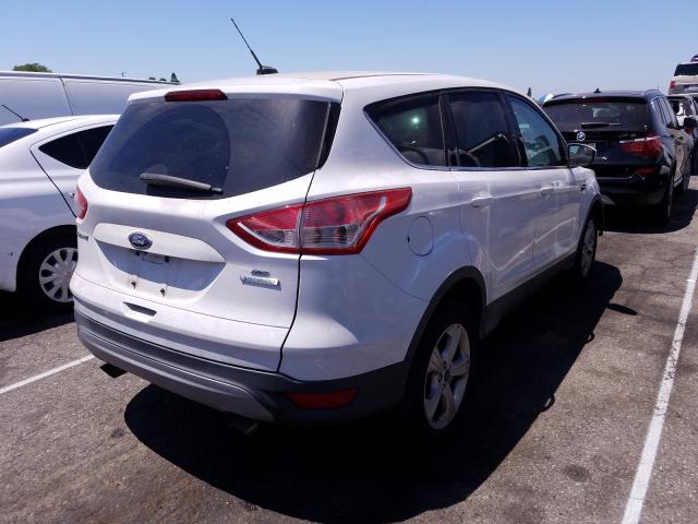 Photo 3 VIN: 1FMCU0GX1EUA30317 - FORD ESCAPE 