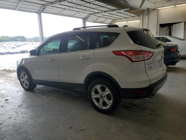 Photo 1 VIN: 1FMCU0GX1EUA34769 - FORD ESCAPE 