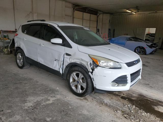 Photo 3 VIN: 1FMCU0GX1EUA34769 - FORD ESCAPE 