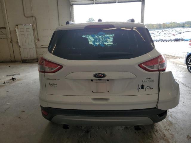 Photo 5 VIN: 1FMCU0GX1EUA34769 - FORD ESCAPE 