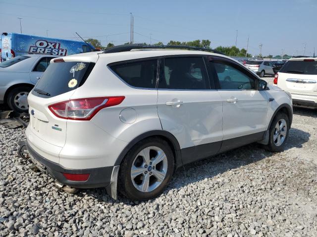 Photo 2 VIN: 1FMCU0GX1EUA52656 - FORD ESCAPE SE 