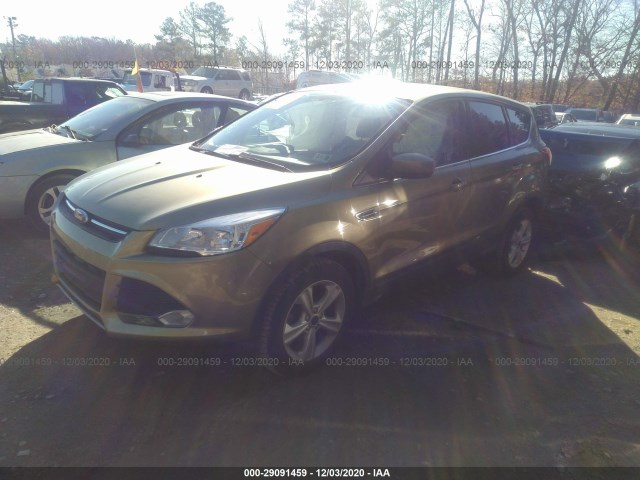 Photo 1 VIN: 1FMCU0GX1EUA62197 - FORD ESCAPE 