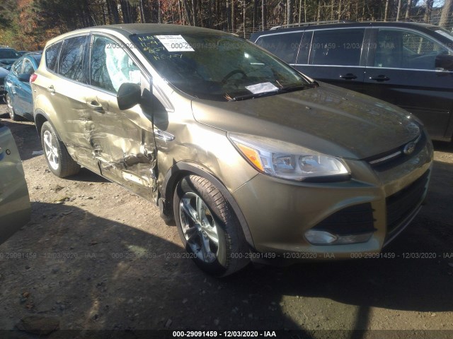 Photo 5 VIN: 1FMCU0GX1EUA62197 - FORD ESCAPE 