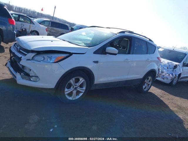 Photo 1 VIN: 1FMCU0GX1EUA66816 - FORD ESCAPE 