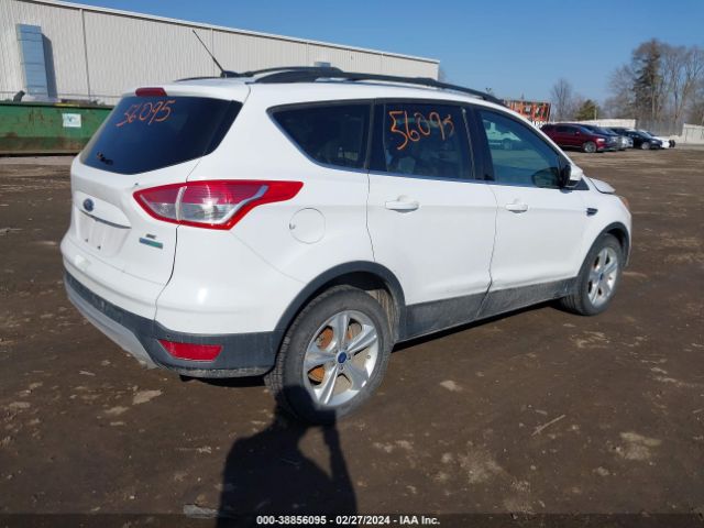 Photo 3 VIN: 1FMCU0GX1EUA66816 - FORD ESCAPE 