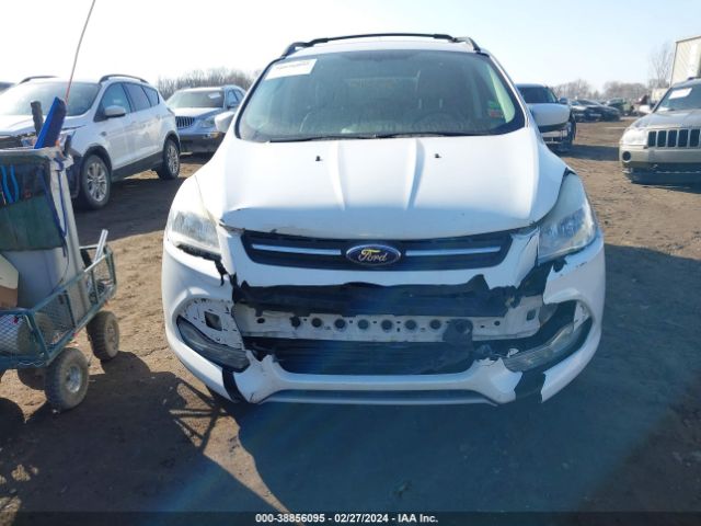 Photo 5 VIN: 1FMCU0GX1EUA66816 - FORD ESCAPE 