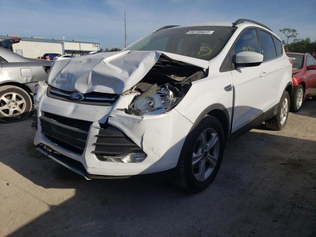 Photo 1 VIN: 1FMCU0GX1EUA66959 - FORD ESCAPE SE 