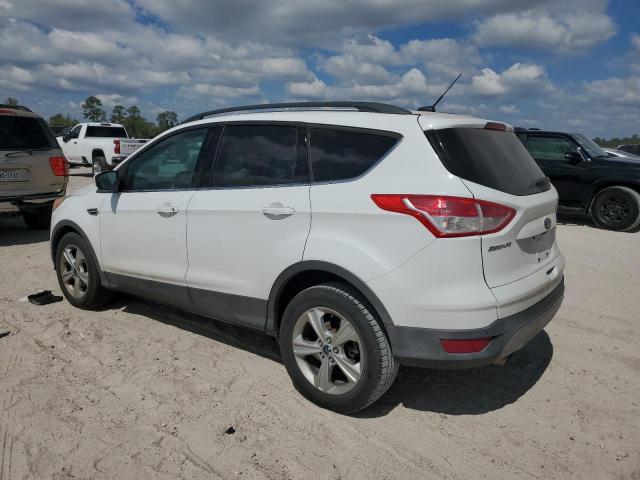 Photo 1 VIN: 1FMCU0GX1EUB07901 - FORD ESCAPE SE 