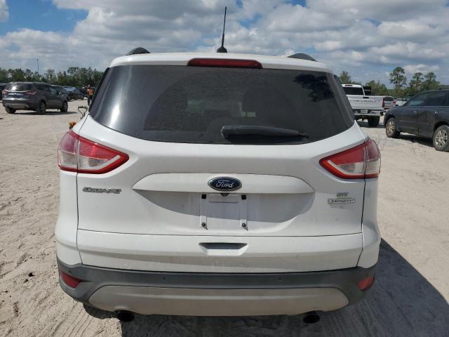 Photo 5 VIN: 1FMCU0GX1EUB07901 - FORD ESCAPE SE 