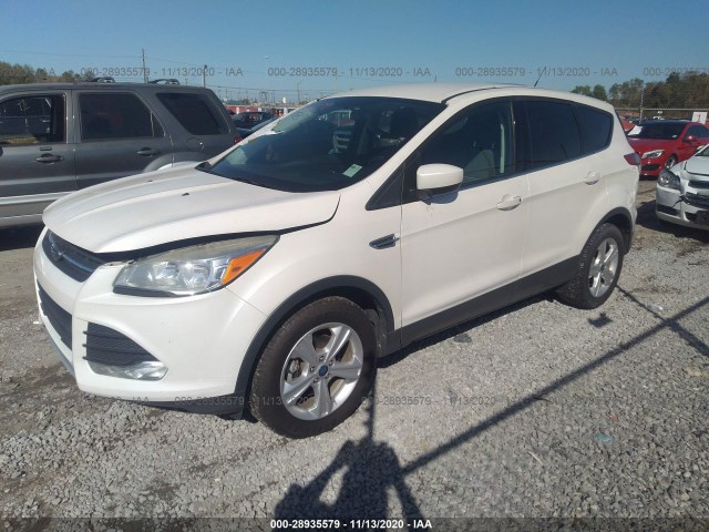 Photo 1 VIN: 1FMCU0GX1EUB22592 - FORD ESCAPE 