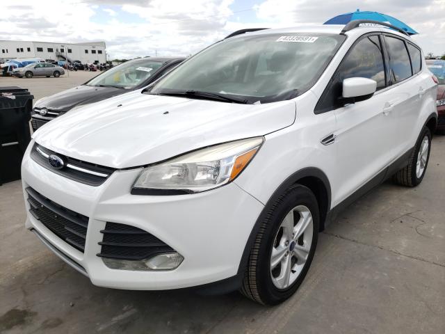 Photo 0 VIN: 1FMCU0GX1EUB49291 - FORD ESCAPE SE 