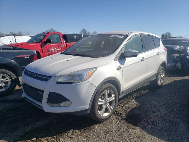 Photo 1 VIN: 1FMCU0GX1EUB57374 - FORD ESCAPE SE 