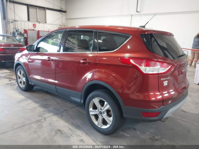 Photo 2 VIN: 1FMCU0GX1EUB59870 - FORD ESCAPE 