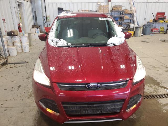 Photo 4 VIN: 1FMCU0GX1EUB83912 - FORD ESCAPE 