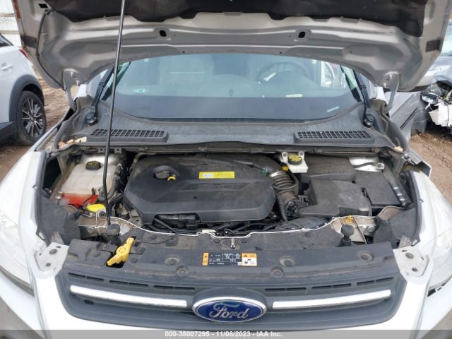 Photo 9 VIN: 1FMCU0GX1EUC02524 - FORD ESCAPE 