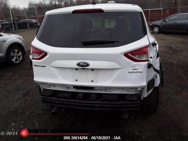 Photo 5 VIN: 1FMCU0GX1EUC34261 - FORD ESCAPE 