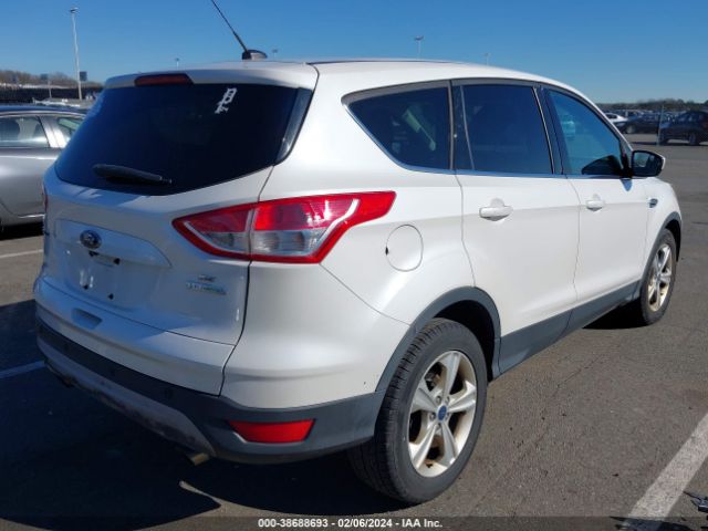 Photo 3 VIN: 1FMCU0GX1EUC41467 - FORD ESCAPE 