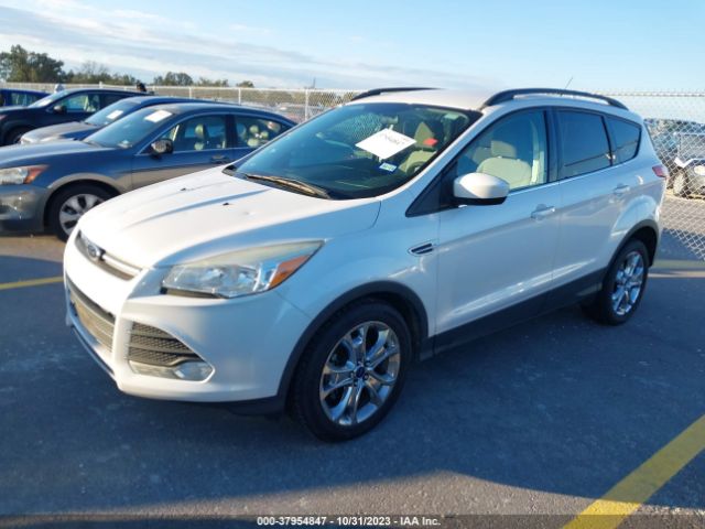 Photo 1 VIN: 1FMCU0GX1EUC44708 - FORD ESCAPE 