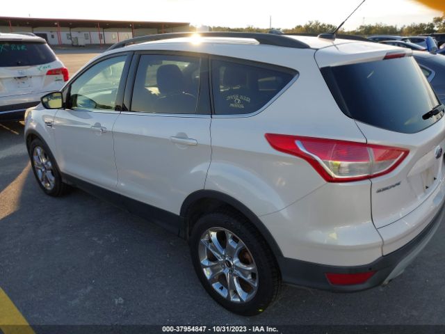 Photo 2 VIN: 1FMCU0GX1EUC44708 - FORD ESCAPE 