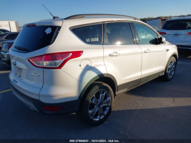 Photo 3 VIN: 1FMCU0GX1EUC44708 - FORD ESCAPE 