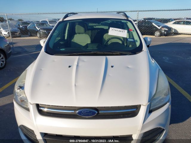 Photo 5 VIN: 1FMCU0GX1EUC44708 - FORD ESCAPE 