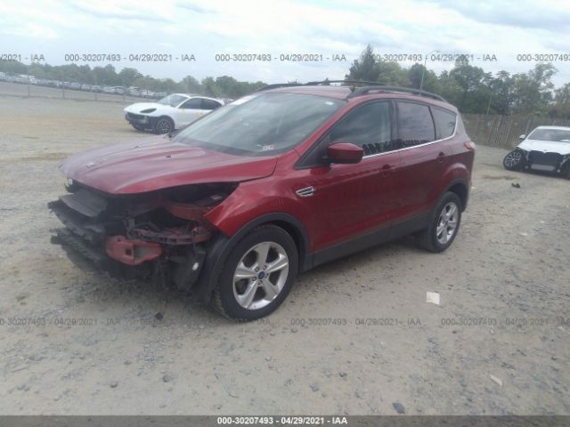 Photo 1 VIN: 1FMCU0GX1EUC56678 - FORD ESCAPE 