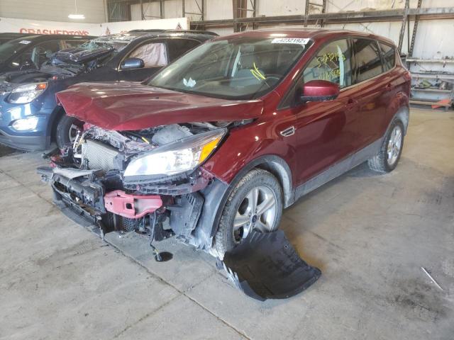 Photo 1 VIN: 1FMCU0GX1EUC75697 - FORD ESCAPE SE 