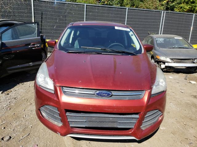 Photo 8 VIN: 1FMCU0GX1EUD02381 - FORD ESCAPE SE 