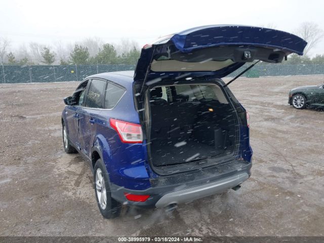 Photo 2 VIN: 1FMCU0GX1EUE38588 - FORD ESCAPE 