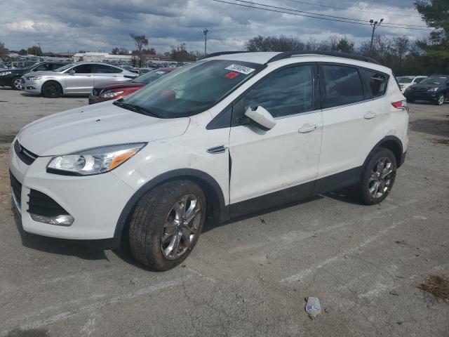 Photo 0 VIN: 1FMCU0GX1FUA23689 - FORD ESCAPE 